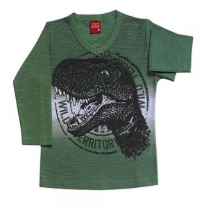 Camiseta Infantil Menino Manga Longa Dinossauro 